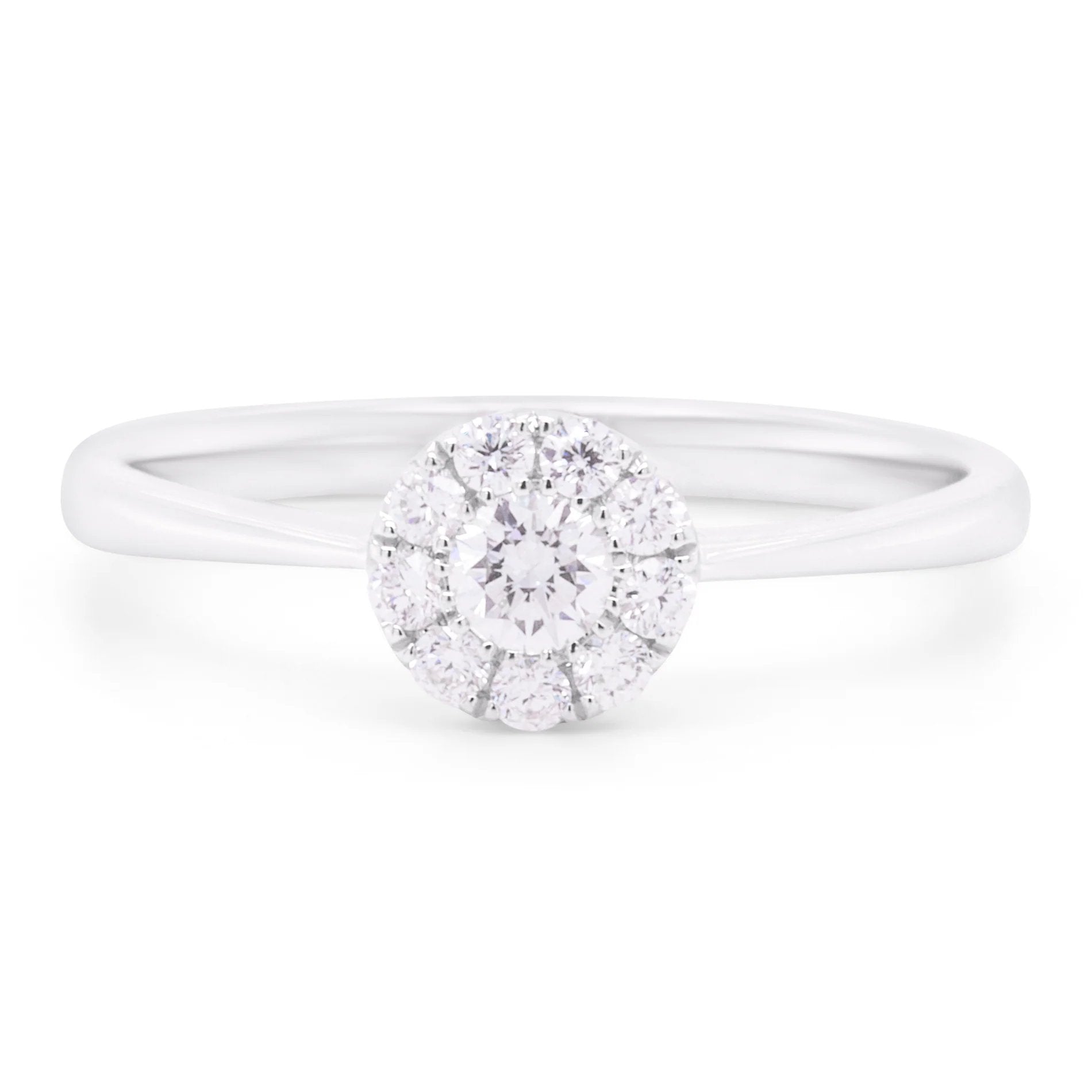 Alma ring i 18 karat hvidguld med 0,24 carat diamanter i rosetfatning på hvid baggrund