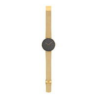 Arne Jacobsen Bankers Porsgrunn Grå 34 mm forgyldt ur med mat guldfarvet mesh-rem.