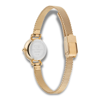 Bagside af Daniel Wellington Petite Mini Evergold ADW00100745 med guldfarvet mesh-rem
