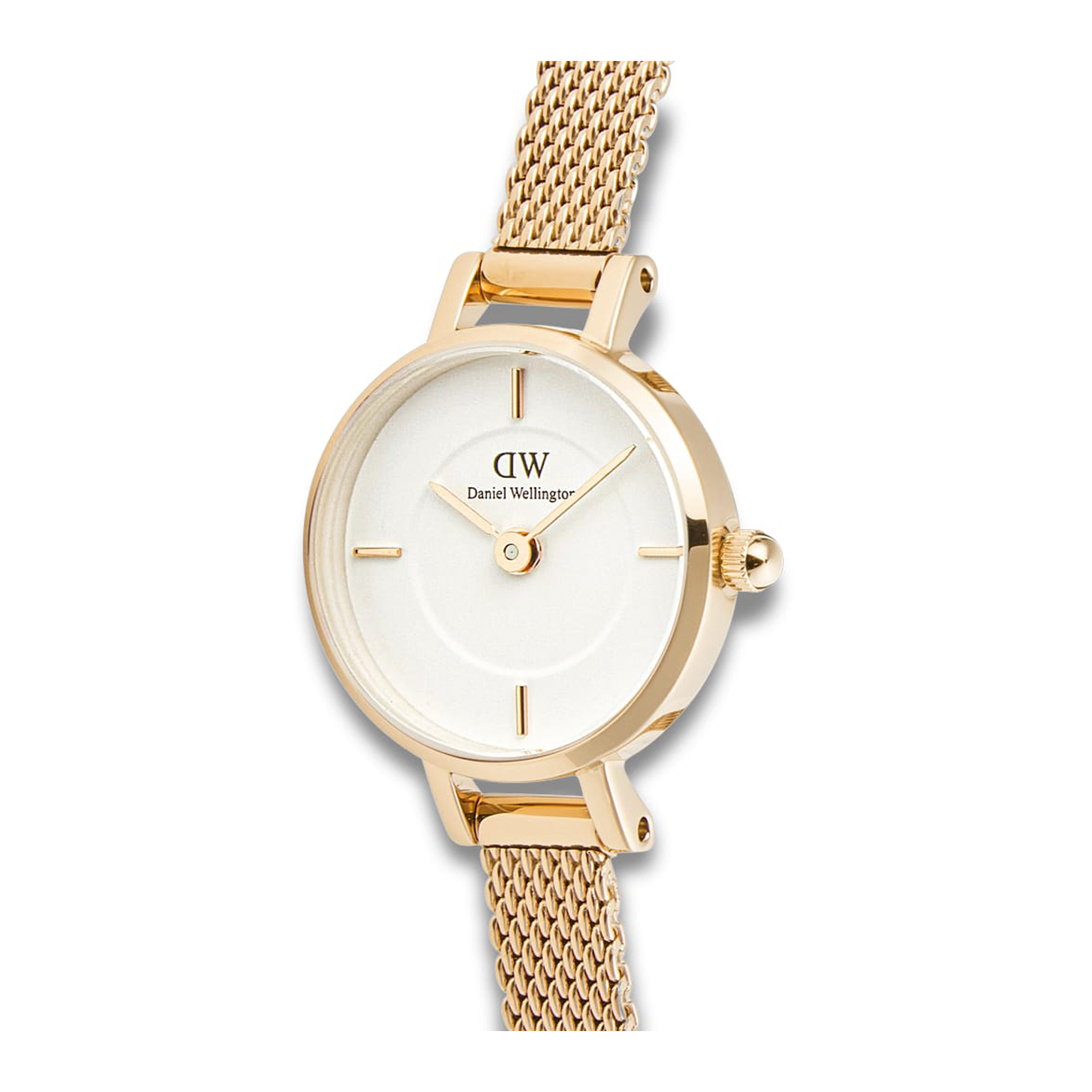 Nærbillede af Daniel Wellington Petite Mini Evergold ADW00100745 med guldfarvet urkasse