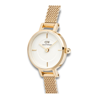 Nærbillede af Daniel Wellington Petite Mini Evergold ADW00100745 med guldfarvet urkasse