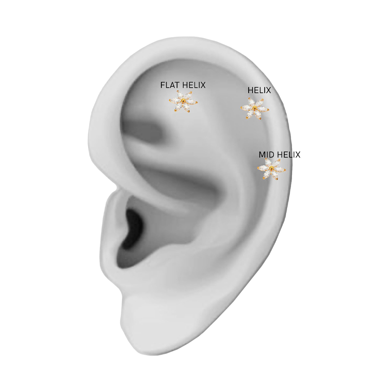 Illustreret placering af Sistie Fnug Helix ørering til helix, flat helix og mid helix piercing.