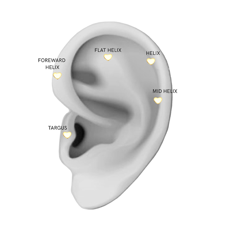 Illustreret placering af Sistie Little Heart Helix ørering til helix, flat helix, forward helix og tragus piercing.