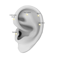Illustreret placering af Sistie Little Star Helix ørering til helix, flat helix, forward helix og tragus piercing.