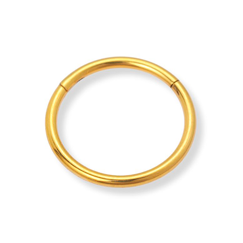 Sistie 2nd Ringline Helix ørering i forgyldt titanium med klassisk ringdesign.