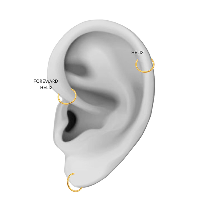 Illustreret placering af Sistie Ringline Helix ørering til helix, forward helix og øreflip piercing.