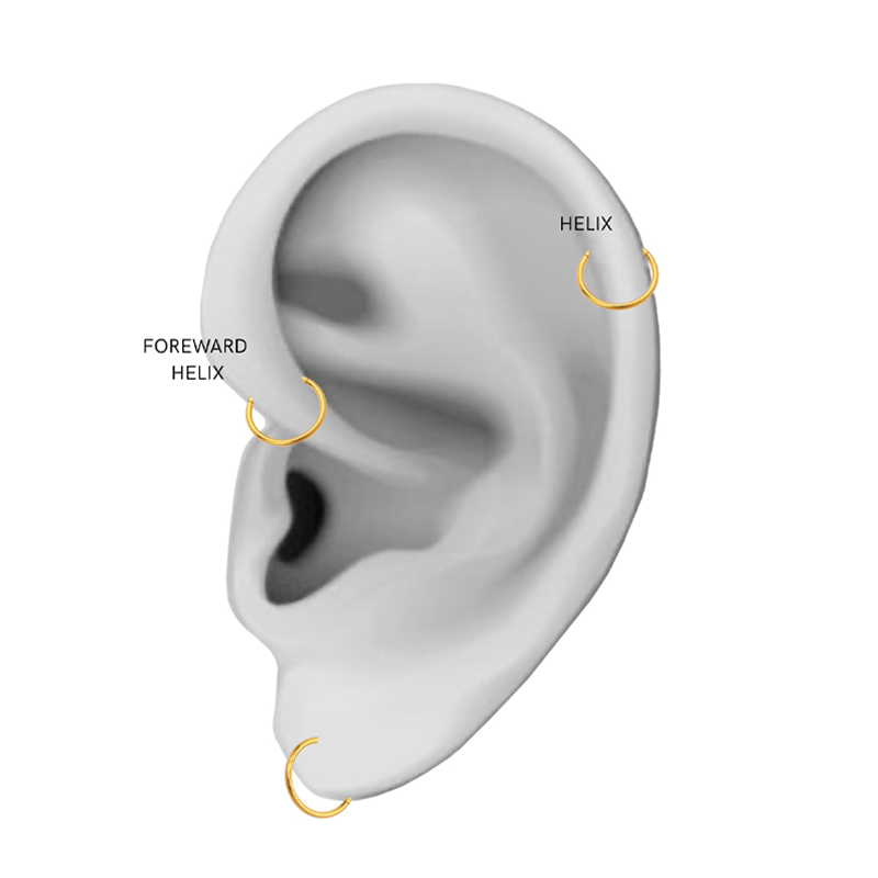Illustreret placering af Sistie Ringline Helix ørering til helix, forward helix og øreflip piercing.