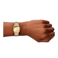 Skagen Mellem Lille SKW3164 båret på håndled.