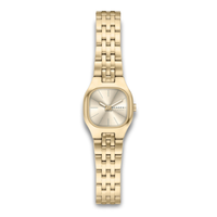Skagen Mellem Micro Gold SKW3177 dameur med guldfarvet stållænke og champagnefarvet urskive.